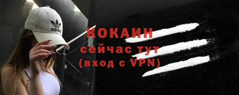 Магазины продажи наркотиков Курчатов Канабис  Псилоцибиновые грибы  ГАШИШ  Меф  МЕТАДОН  АМФ  КОКАИН 