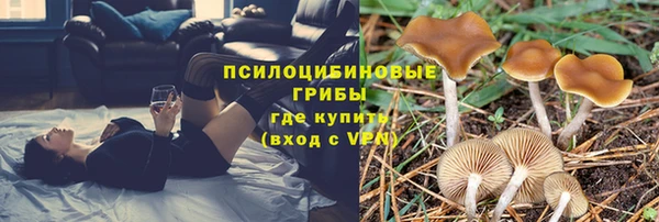 ПСИЛОЦИБИНОВЫЕ ГРИБЫ Богданович